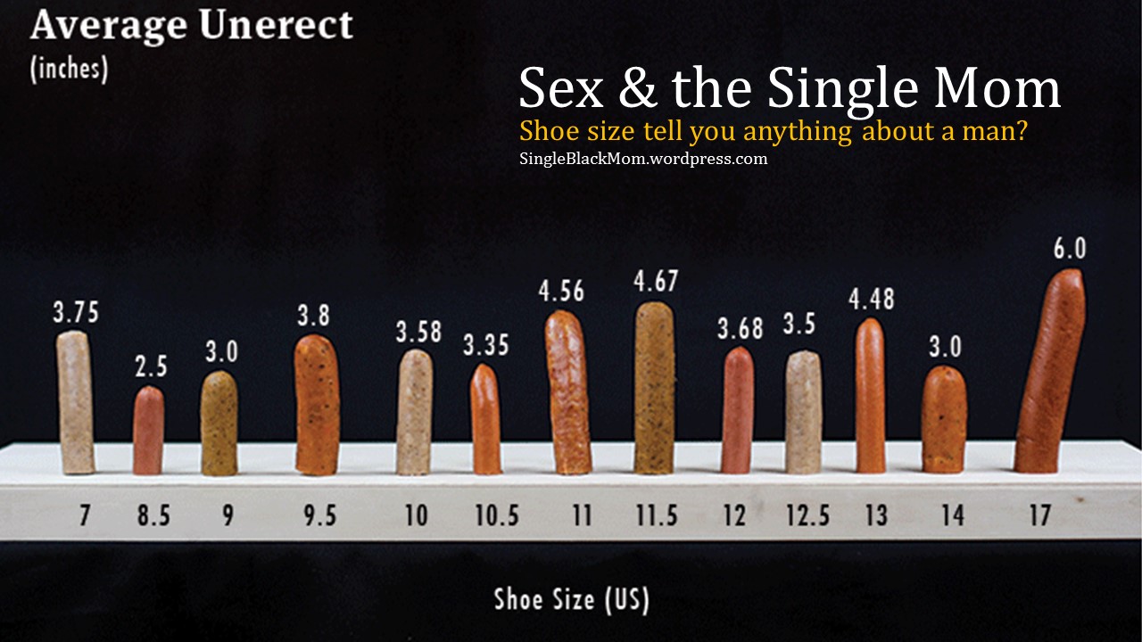 Average Porn Star Penis Size Chart